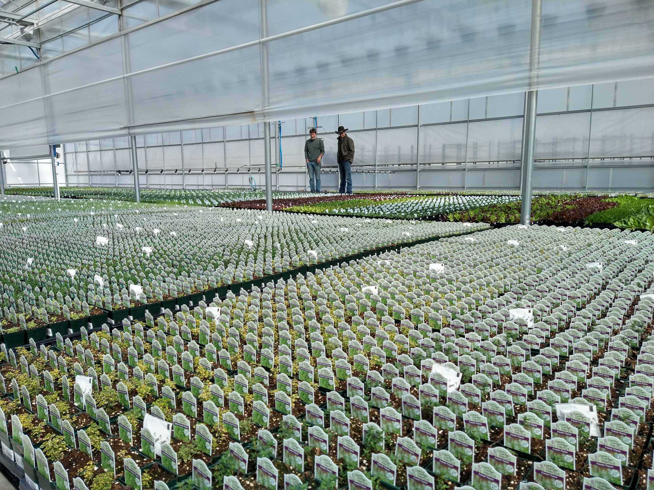 Interior of Sullivan’s Greenhouse