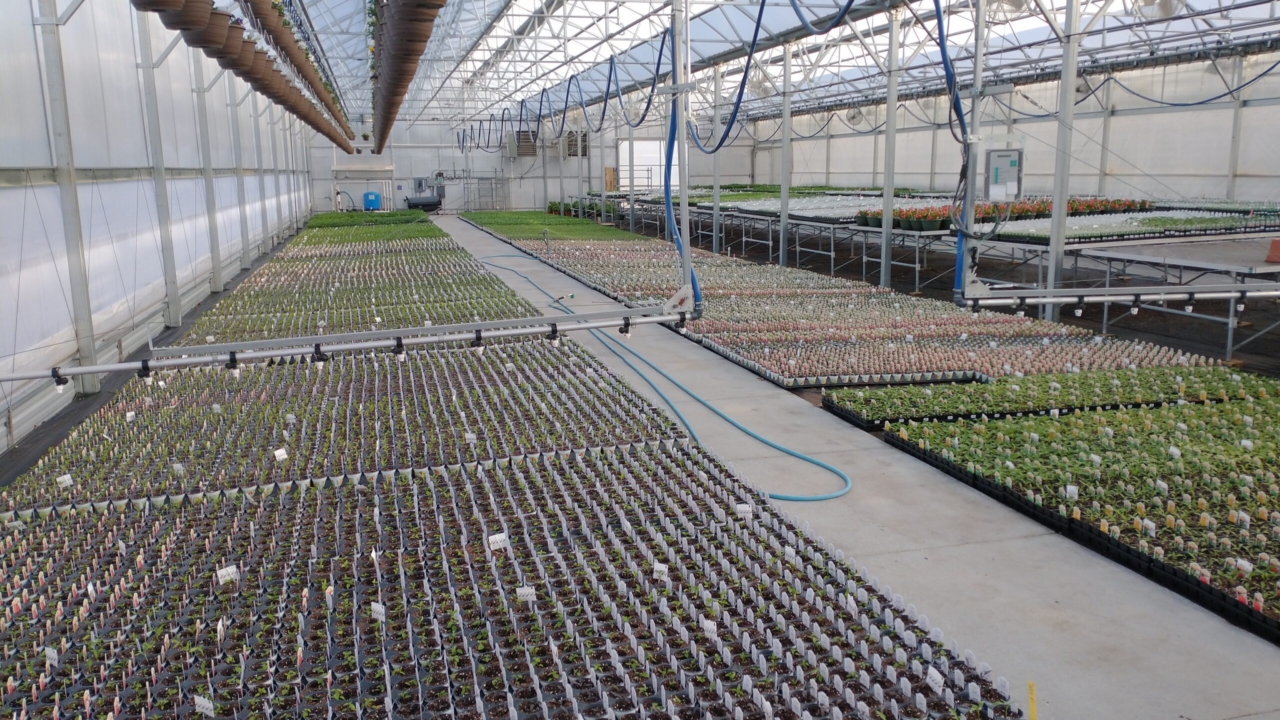 Sullivan's Greenhouse Pantry Garden Herbs